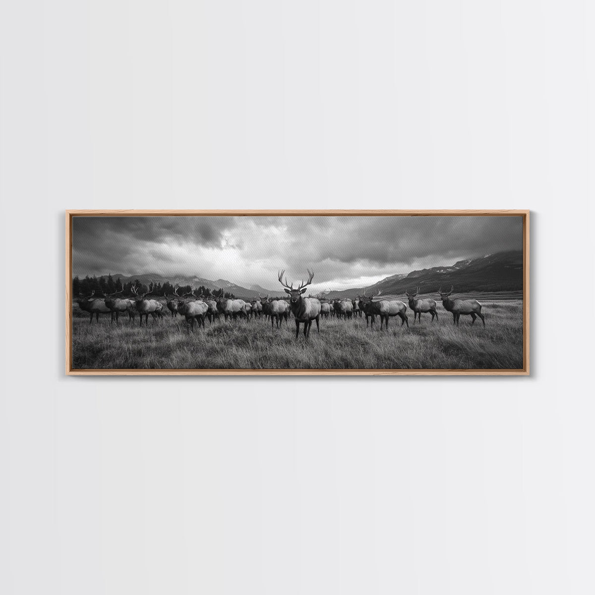 Elk Herd in Autumn Mountains Framed Canvas Print