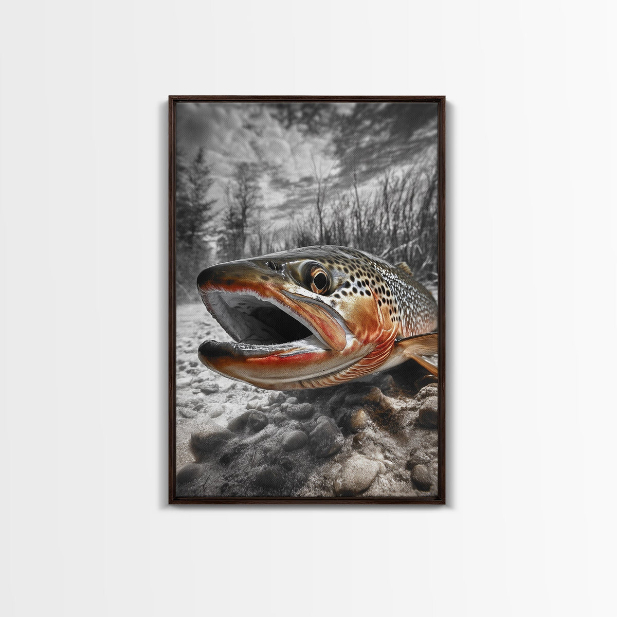 Brown Trout Framed Canvas Print