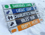 Personalized Custom Ski and Snowboard Trail Signs, Mountain Cabin Decor