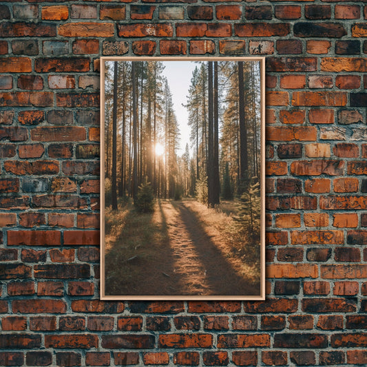 Autumn Woods Photography Canvas Print