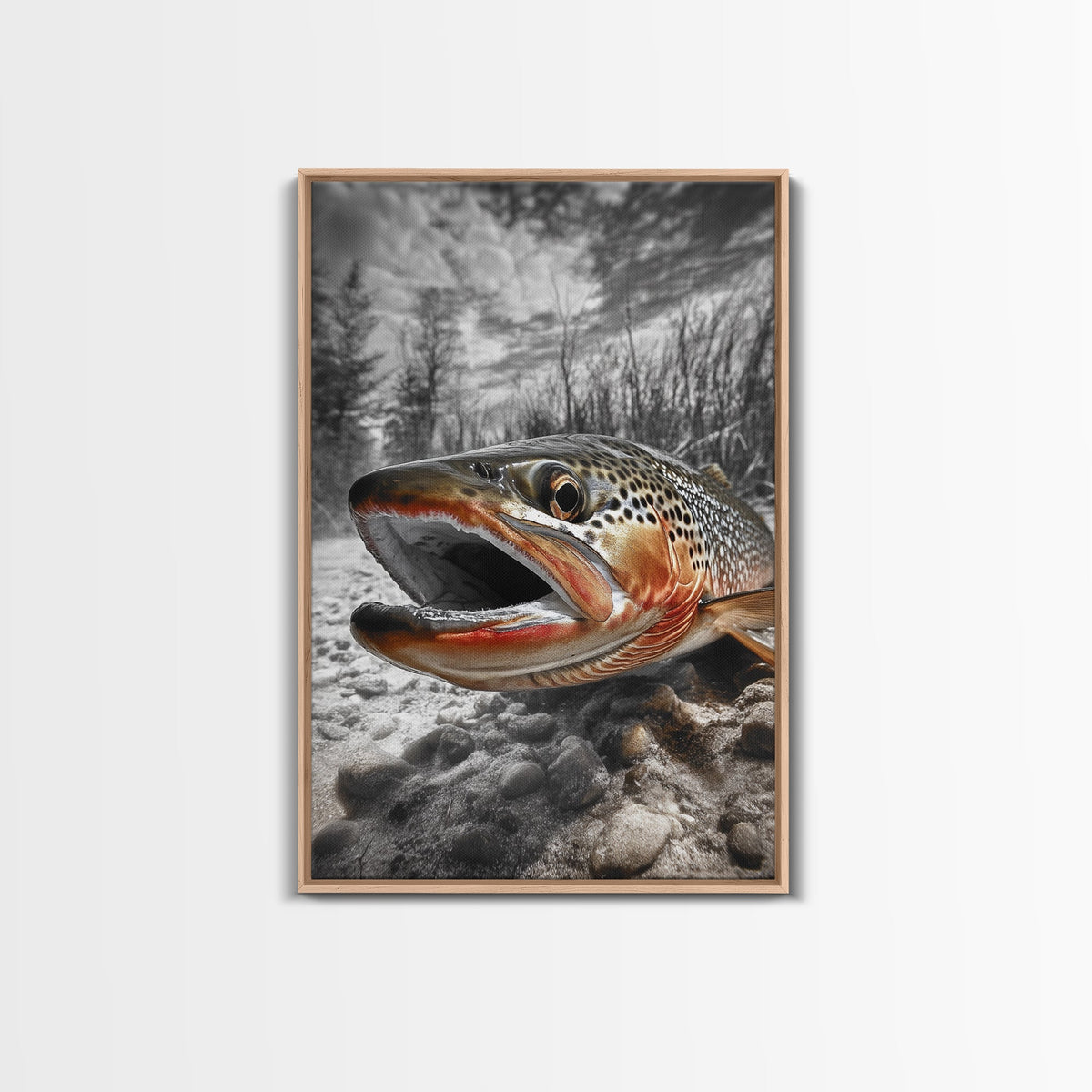 Brown Trout Framed Canvas Print