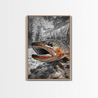 Brown Trout Framed Canvas Print