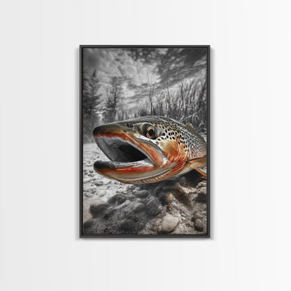 Brown Trout Framed Canvas Print