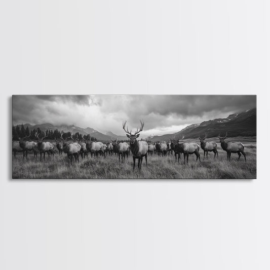 Elk Herd in Autumn Mountains Framed Canvas Print