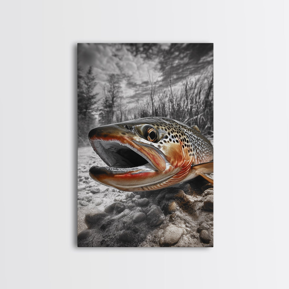 Brown Trout Framed Canvas Print
