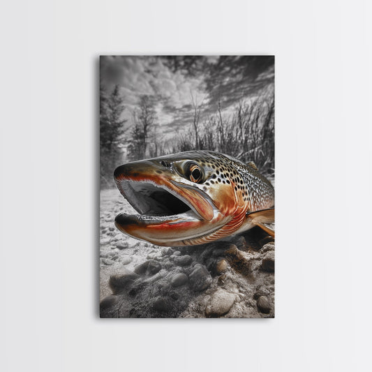 Brown Trout Framed Canvas Print