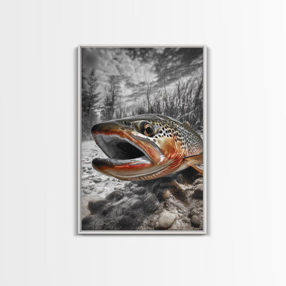 Brown Trout Framed Canvas Print