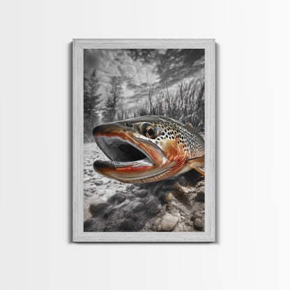 Brown Trout Framed Canvas Print