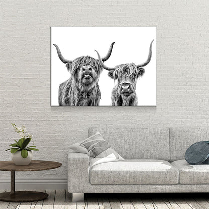 Black & White Highland Cows Canvas Wall Art